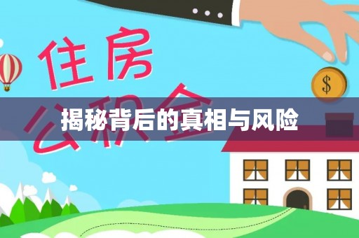 西山揭秘背后的真相与风险