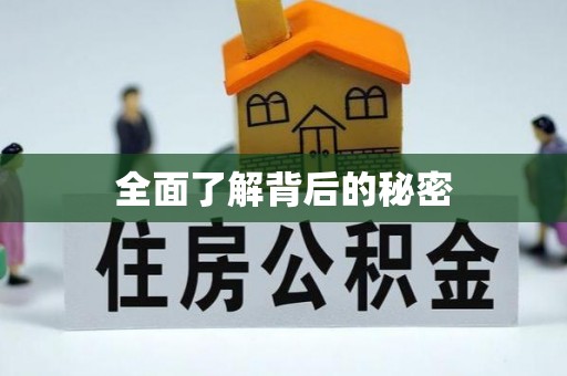 西山全面了解背后的秘密