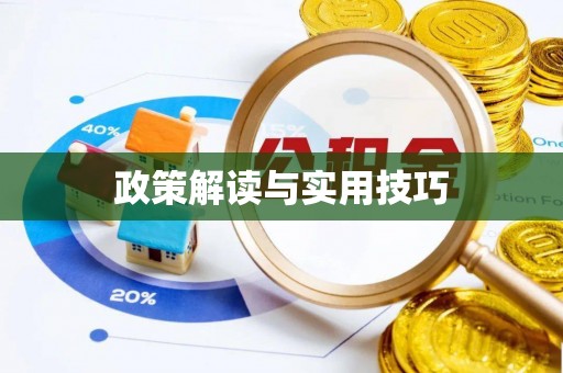 西山政策解读与实用技巧